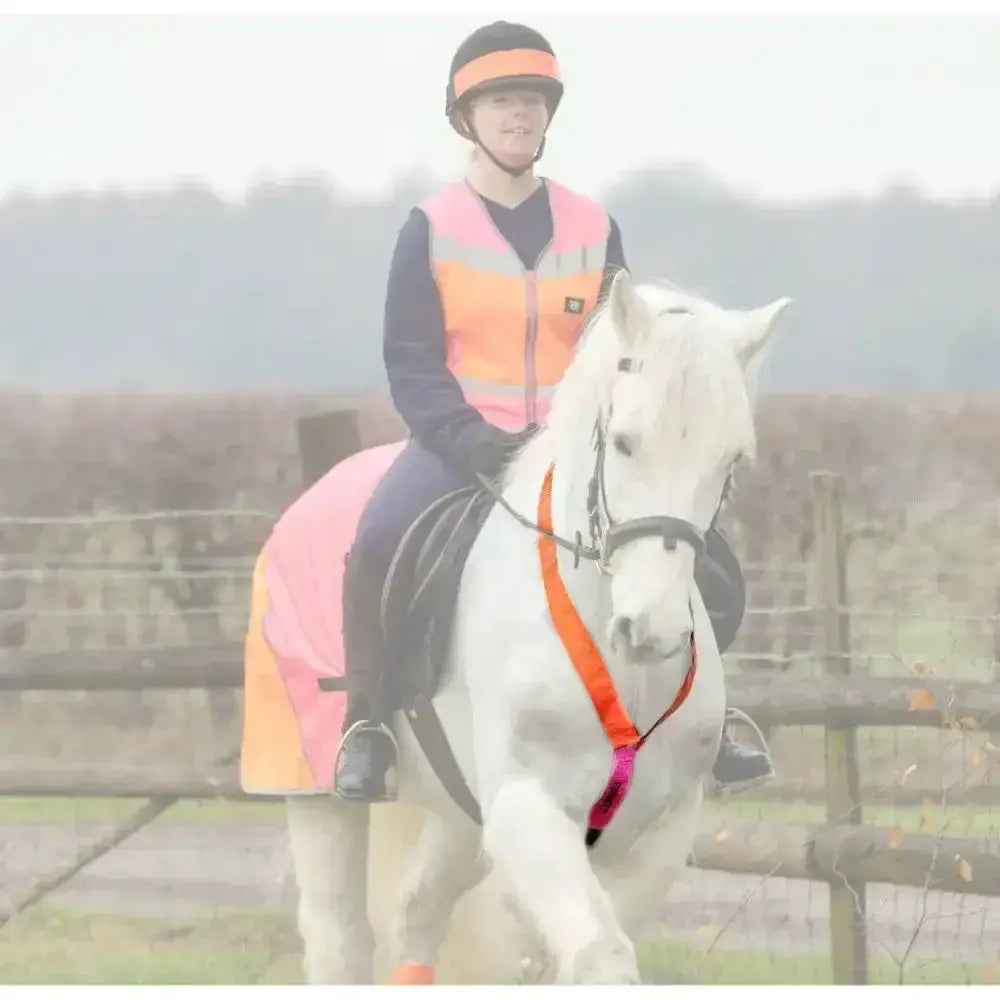 White horse wearing equisafety multi-coloured neckband in orange and pink with reflective strap for high head carriage