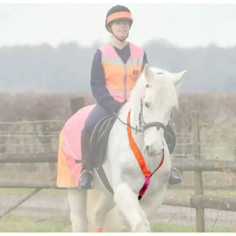 White horse wearing equisafety multi-coloured neckband in orange and pink with reflective strap for high head carriage