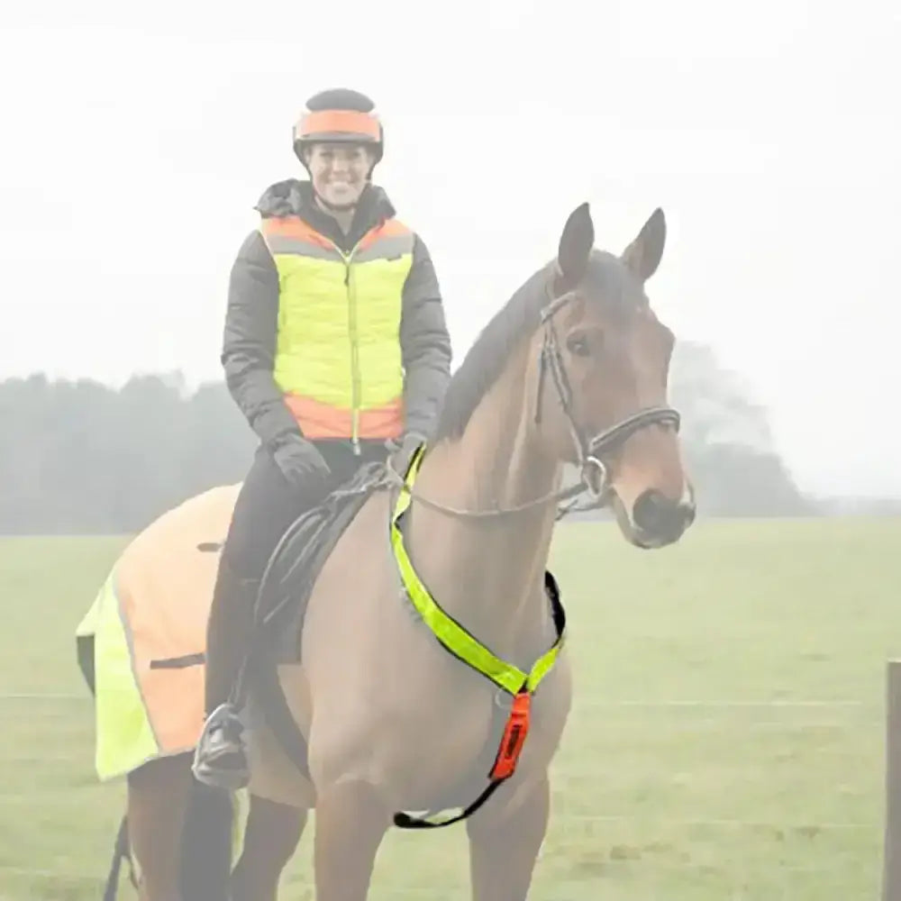 A brown horse wearing an equisafety multi-coloured neckband in neon yellow and orange for high head carriage safety