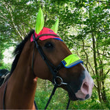 Equisafety Multi-Coloured Noseband Green/Yellow Noseband Covers Barnstaple Equestrian Supplies