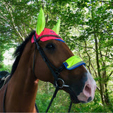 Equisafety Multi-Coloured Noseband Green/Yellow Barnstaple Equestrian Supplies