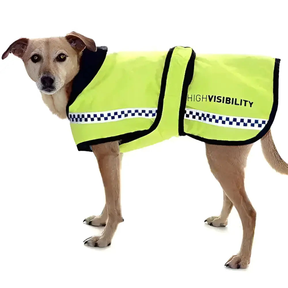 Equisafety Polite Hi-Vis Dog Coats Medium Dog Coat Barnstaple Equestrian Supplies