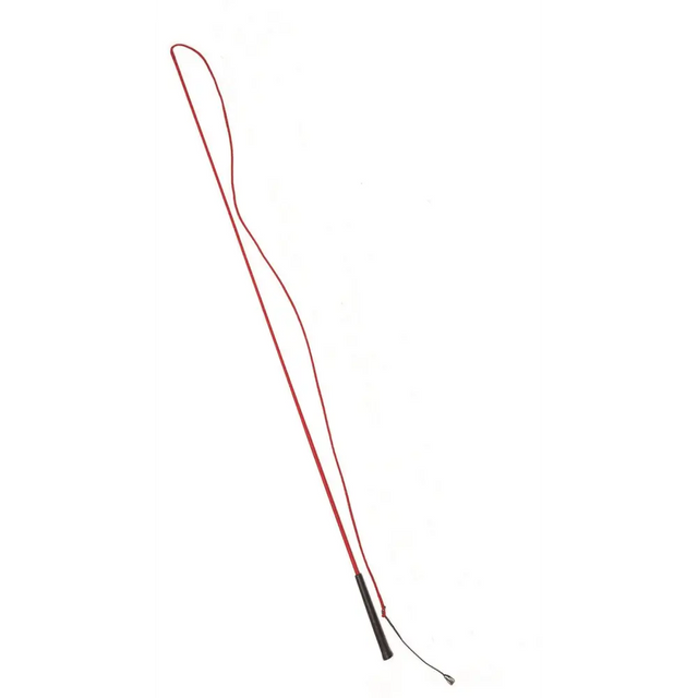 Equisential Economy Lunge Whip Red Lunge Whip