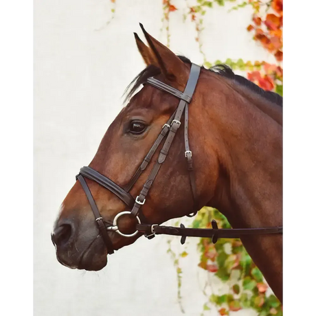 EquiSential Flash Bridle Raised Leather Black Pony Flash Bridles