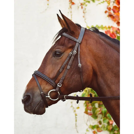 Brown horse wearing equisential flash bridle raised leather bridle with black leather and silver metal hardware