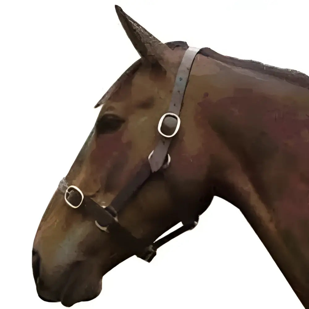 Brown horse head wearing a dark brown equisential leather headcollar with silver metal buckles and leather straps
