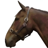 Brown horse head wearing a dark brown equisential leather headcollar with silver metal buckles and leather straps