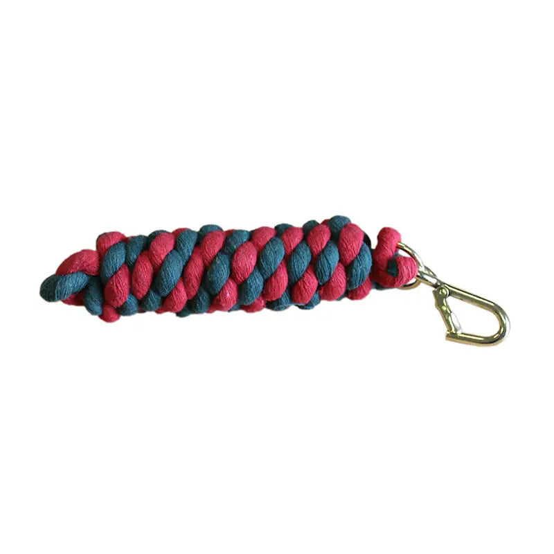 A braided red and teal rope keychain with a silver carabiner clip from equisential walsall leadrope