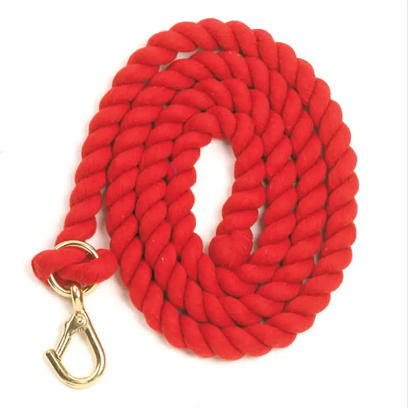Bright red braided rope leash with gold metal clasp for equisential walsall leadrope dog training and walking