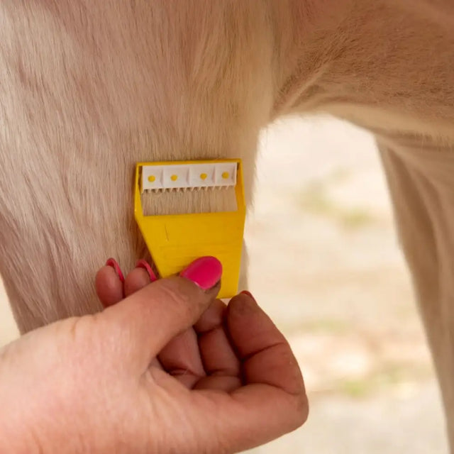 Yellow plastic equishave single pet comb with fine teeth and white handle for smart grooming fiddly areas on difficult horses