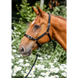 Equissential Economy Headcollar & Leadrope Set Black Pony Headcollar Sets