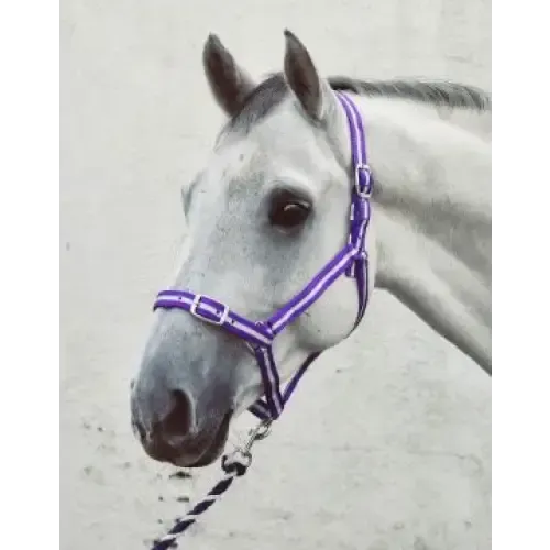 Equissential Economy Headcollar & Leadrope Set Purple/Silver Pony Headcollar Sets