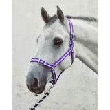 Equissential Economy Headcollar & Leadrope Set Purple/Silver Pony Headcollar Sets