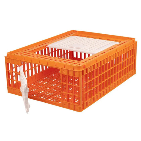 Orange eton mini plastic poultry case with foldable crate design white perforated lid and handle for easy carrying