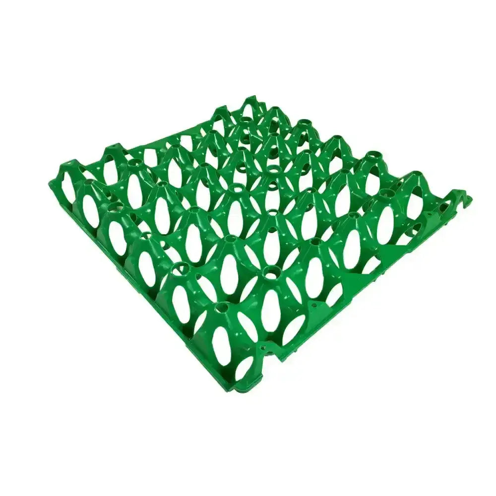 Green flexible plastic egg tray with oval compartments for safe egg storage from eton plastic egg brand