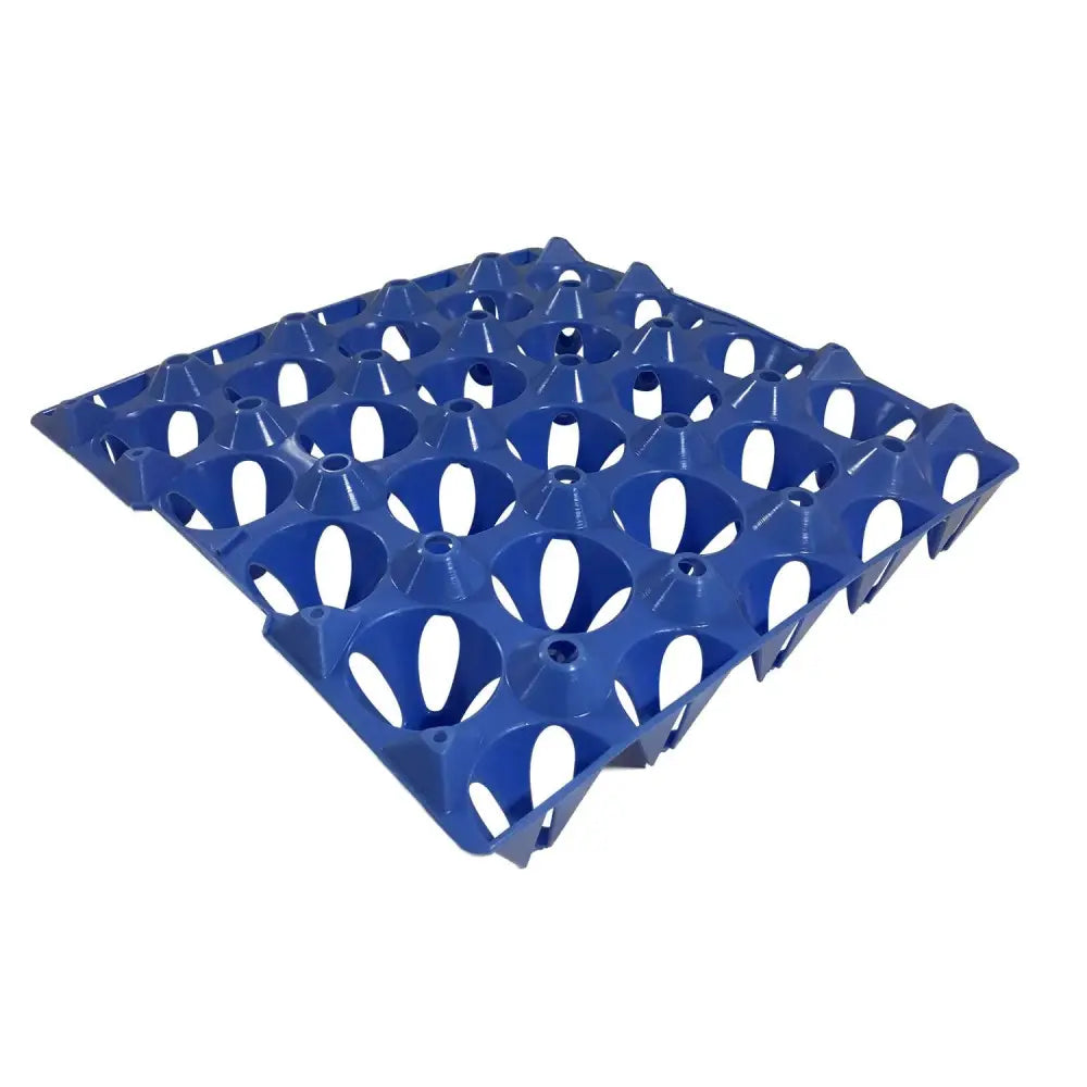 Blue robust plastic keyes tray with 20 circular indentations for eggs by eton plastic keyes
