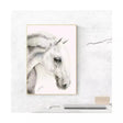 A delicate graphite sketch print flea bitten grey of a white horse head in profile with a light wood backing board frame