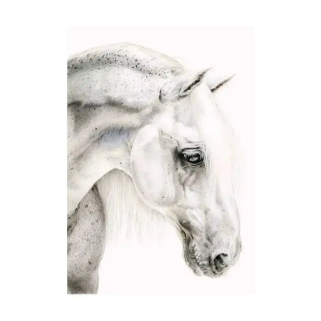 Eureka card clever sausage featuring a hand illustrated equine white horse head in detailed graphite sketch