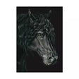 A hand illustrated equine charcoal drawing of a black friesian horse with flowing curly mane on the eureka card