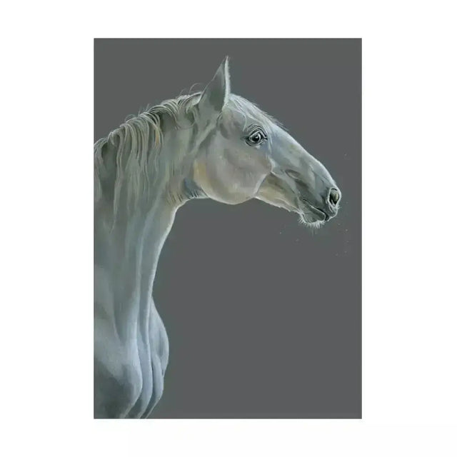 A hand illustrated equine fine-art card featuring a detailed white horse head in soft gray tones called eureka card the grey