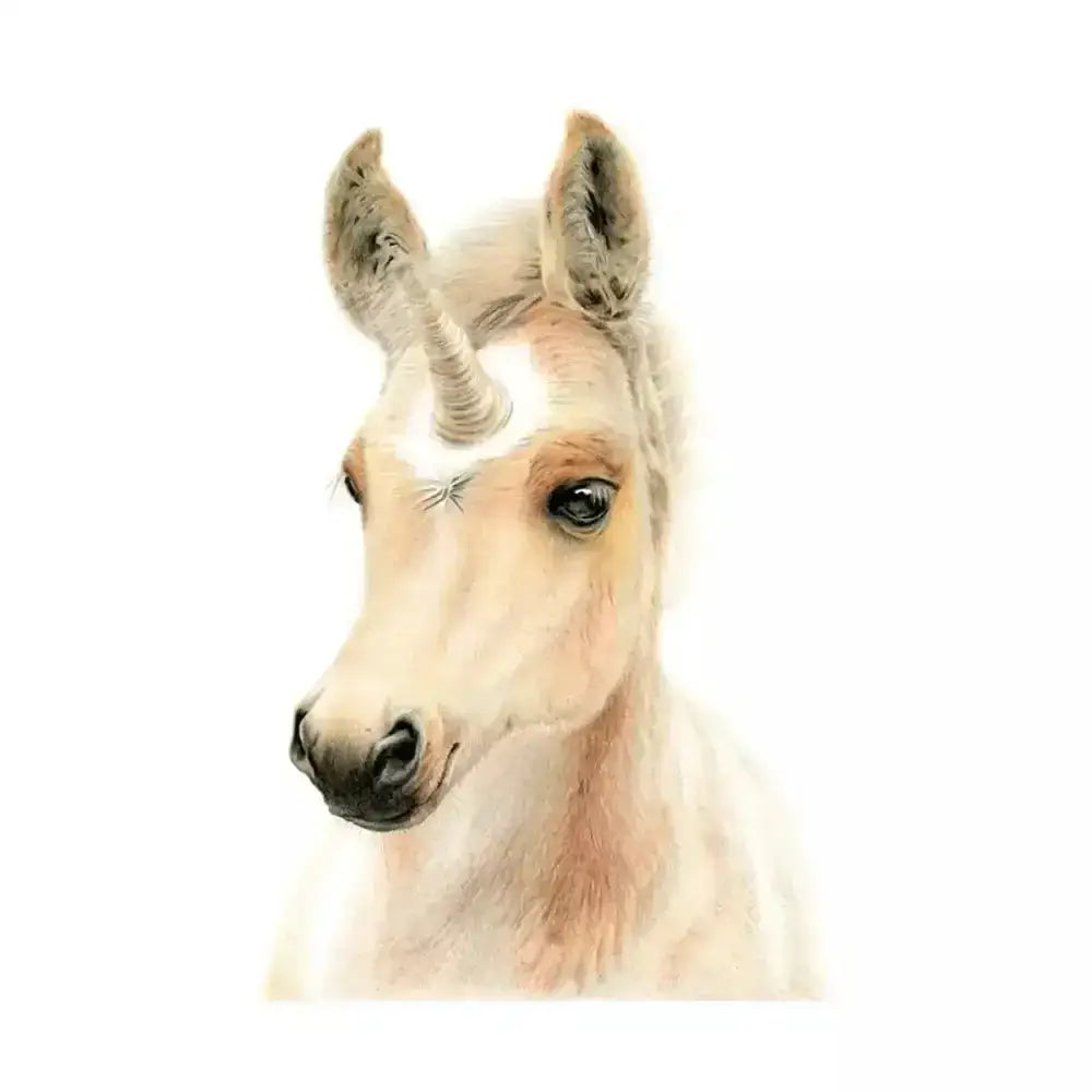 A hand illustrated equine card uni-foal featuring a cream-colored unicorn with soft textured fur and a slender horn