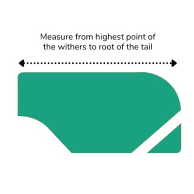 How to measure an exercise sheet