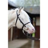 Exmoor Bridle Navy/Soft Blue Pony 
