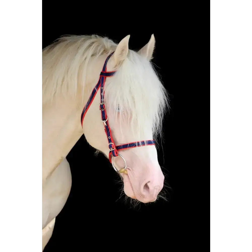 Exmoor Bridle Navy/Soft Blue Pony 