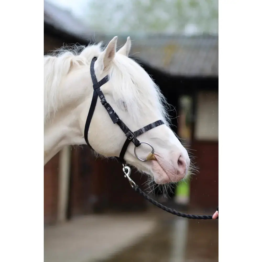 Black leather exmoor bridle with silver cheek pieces and flash attachment for riding and training use