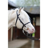 Black leather exmoor bridle with silver cheek pieces and flash attachment for riding and training use