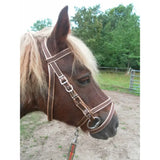 Brown leather exmoor bridle with tan stitching metal buckles cheek pieces and flash attachment detail