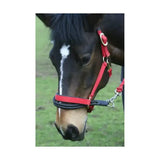 Red leather horse halter with black padded noseband and silver hardware featuring ezyloader headcollar adapter simplifies loading