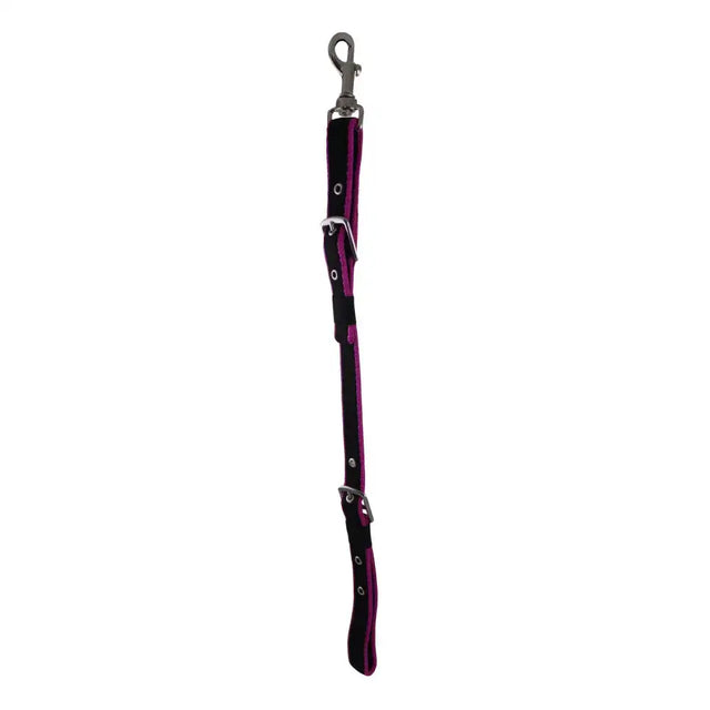 Purple and black dual tone false martingale dog leash with silver metal hardware for driving false martingale harness parts