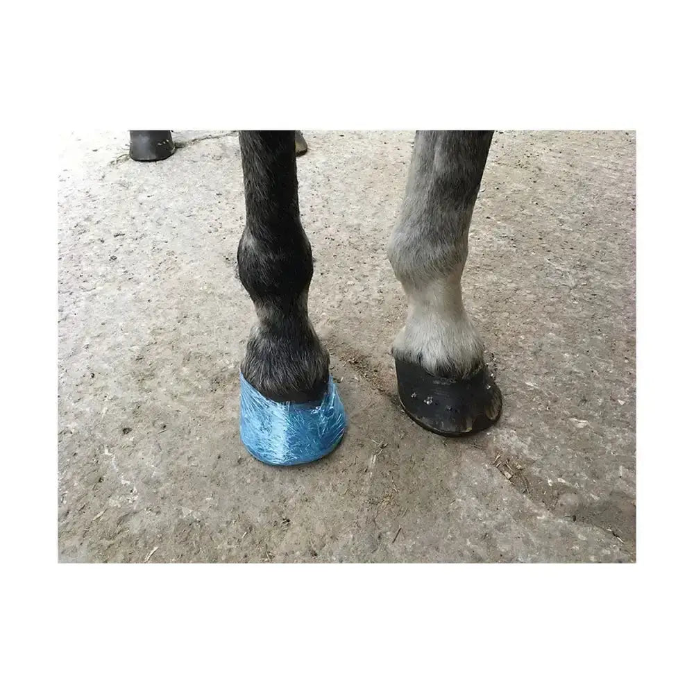 Blue plastic hoof boot secured on horse front foot using farrier cling multi-purpose film wrap for securing ice packs
