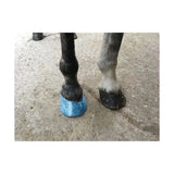 Blue plastic hoof boot secured on horse front foot using farrier cling multi-purpose film wrap for securing ice packs