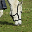 Black nylon field safe headcollar rhinegold with touch tape adjustable headpiece for safe horse handling