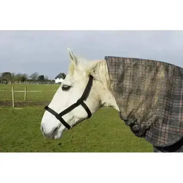 White horse wearing a black field safe headcollar rhinegold with touch tape adjustable headpiece and gray plaid fly veil