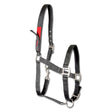 Black leather field safety halter with red accents and silver hardware for secure and stylish safety halter use