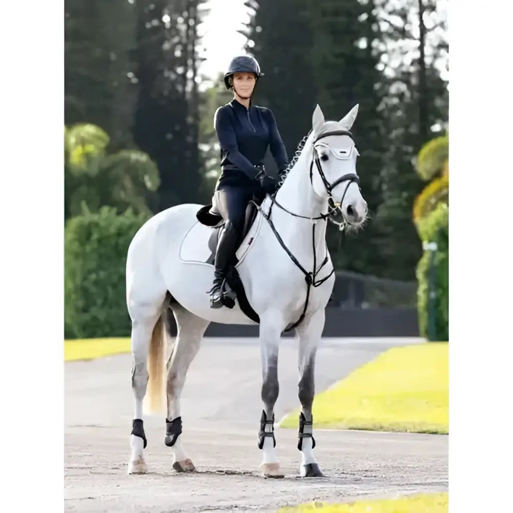 A white horse wearing black protective leg wraps and a sleek bridle stands on a paved path near finesse eurojump square stone