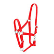 Firefoot economy adjustable red nylon horse halter with silver hardware and adjustable straps for easy fit