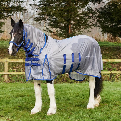 Gray firefoot fixed neck fly rug with blue straps and trim designed for equine protection and neck coverage