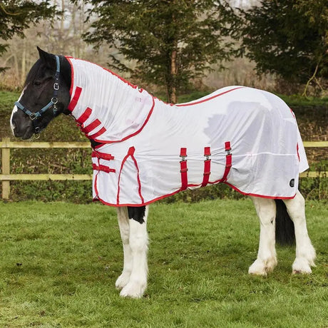 White mesh firefoot fly rug with red trim and adjustable straps fly rug detachable neck for horses