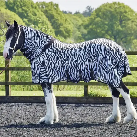 Firefoot Fly Rug Fixed Neck Zebra Print With Belly Flap 5'6" Zebra Print Fly Rugs