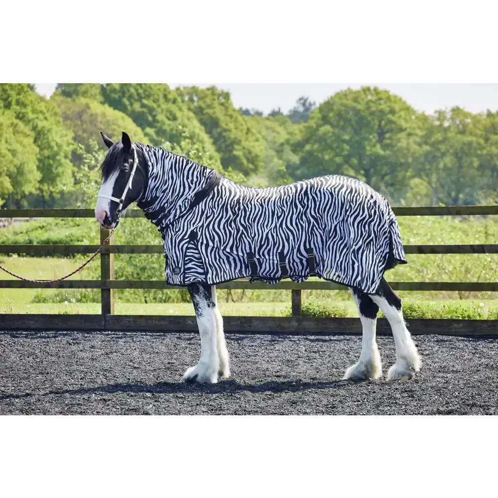 Firefoot Fly Rug Fixed Neck Zebra Print 5'6" Zebra Print Fly Rugs