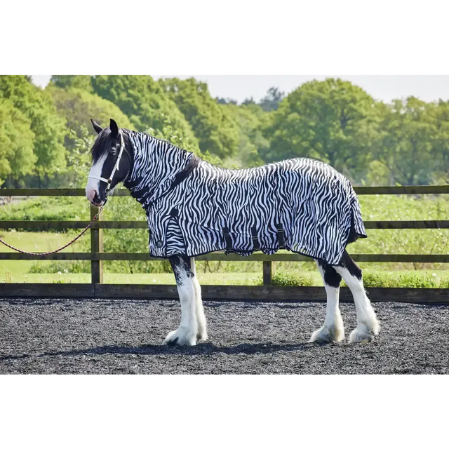 Firefoot Fly Rug Fixed Neck Zebra Print 5'6" Zebra Print Fly Rugs