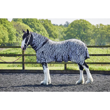 Black and white zebra-striped firefoot fly rug with fixed neck zebra print and adjustable belly flap straps