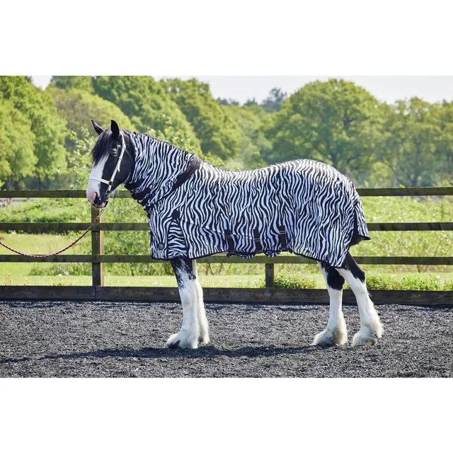 Black and white zebra-striped firefoot fly rug with fixed neck zebra print and adjustable belly flap straps