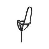 Black leather firefoot foal slip halter with silver metal buckles and rings perfect for foal slip leather use