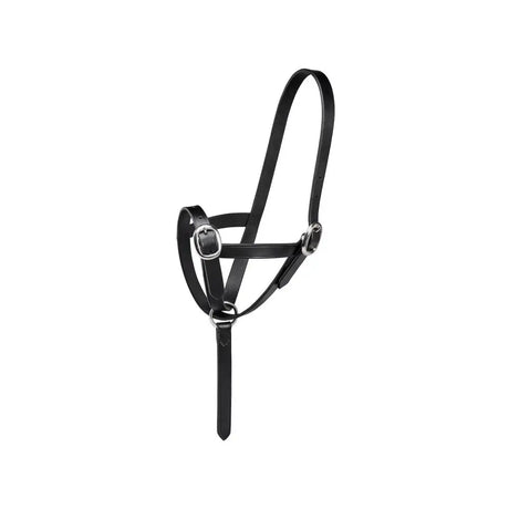 Black leather firefoot foal slip halter with silver metal buckles and rings perfect for foal slip leather use