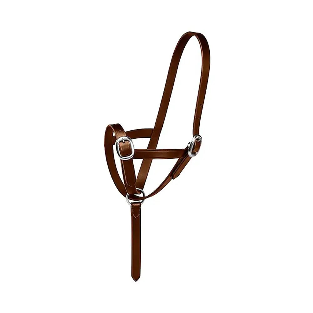 Brown leather firefoot foal slip halter with silver metal buckles and rings for foal slip leather use